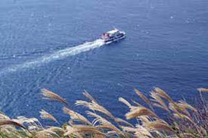 자월도 배편|자월도 여행|자월도 가는 방법